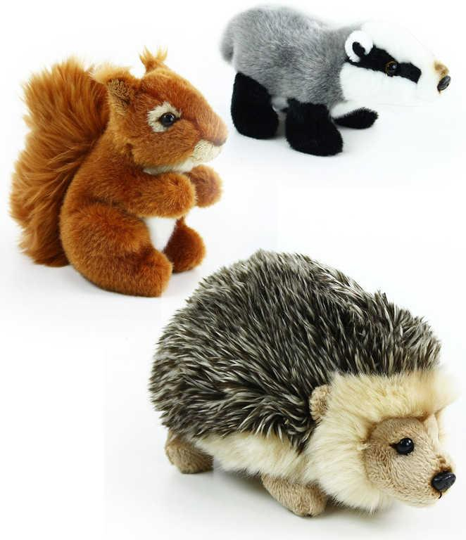 ds72775150_plys_zviratko_lesni_16cm_jezek_veverka_jezevec_3_druhy_plysove_hracky_3