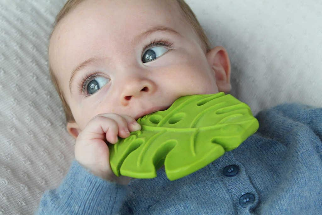 ds79744155_lanco_zeleny_list_monstera_10cm_baby_kousatko_prirodni_kaucuk_pro_miminko_1