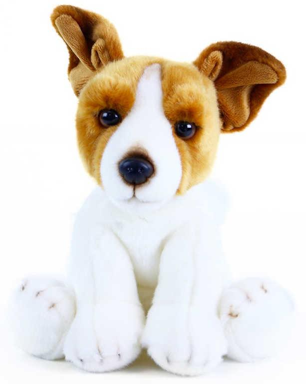 ds87120945_plys_pes_jack_russell_terier_sedici_30cm_exkluzivni_kolekce_plysove_hracky_1