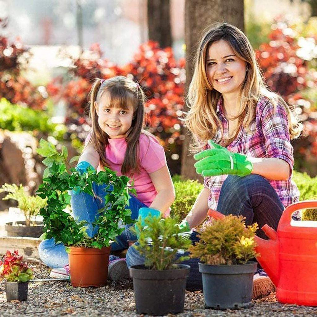 ds93853486_opera_na_popinave_rostliny_srdicko_1