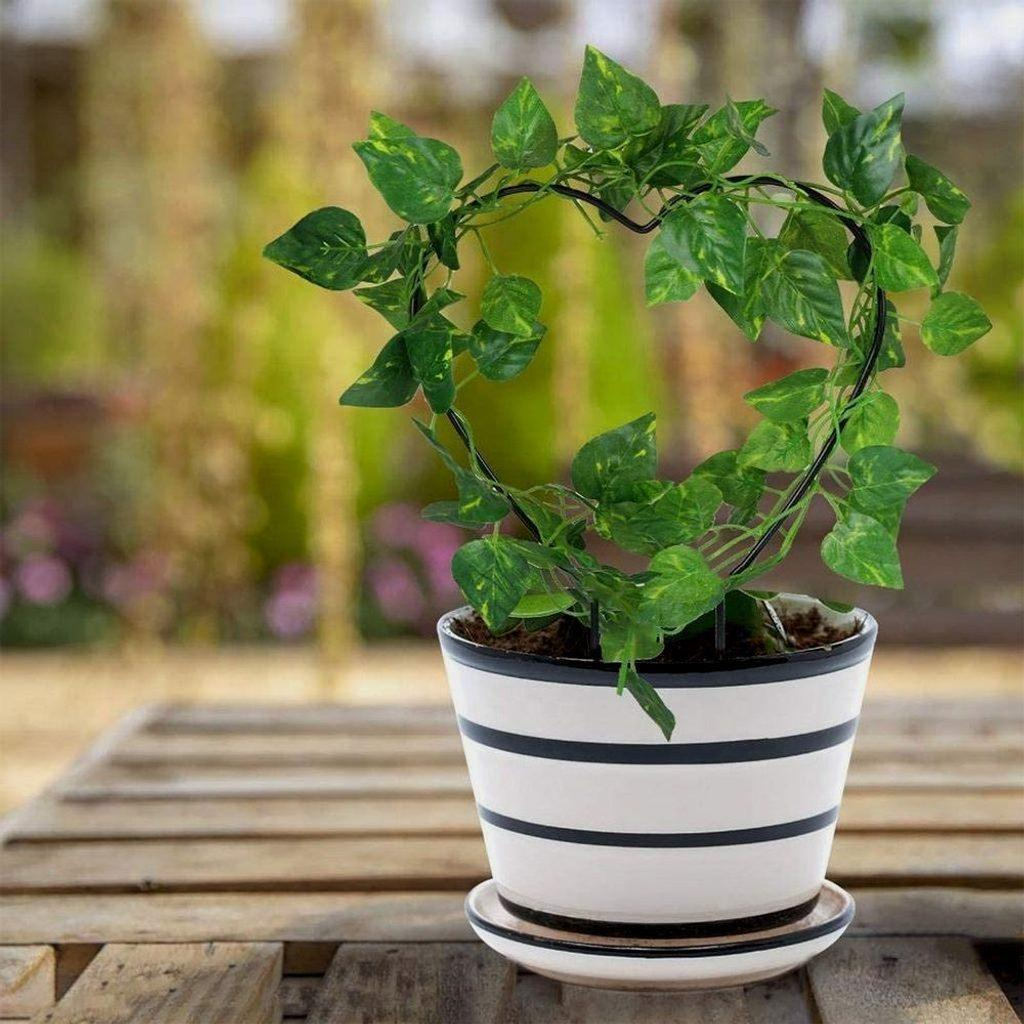 ds93853486_opera_na_popinave_rostliny_srdicko_3