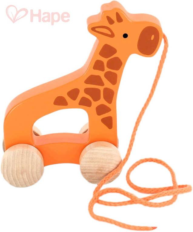 HAPE DŘEVO Baby žirafa tahací 15cm pro miminko *DŘEVĚNÉ HRAČKY*
