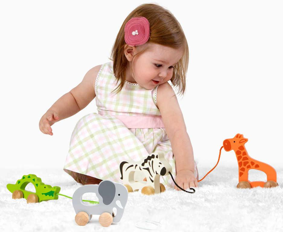 ds17549399_hape_drevo_baby_slon_tahaci_pro_miminko_drevene_hracky_2