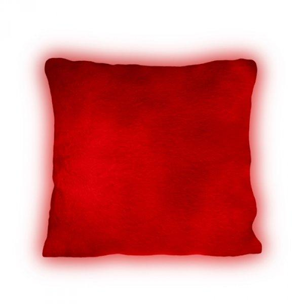 nahrávám obrázek