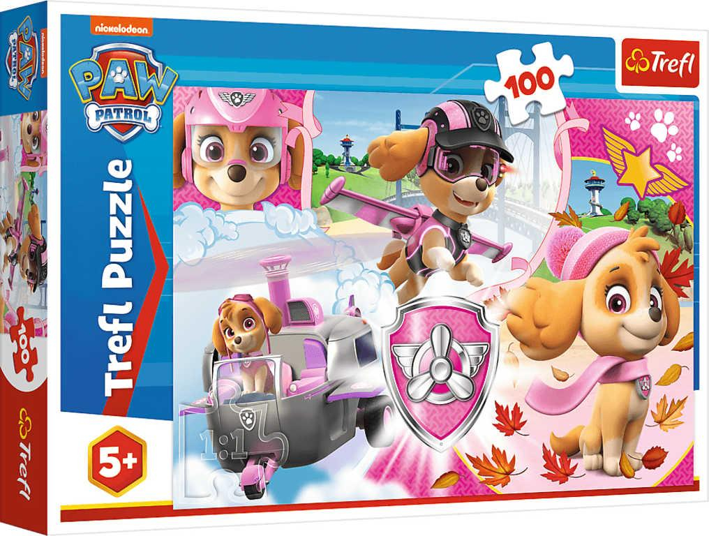 ds21275871_trefl_puzzle_skye_v_akci_41x28cm_tlapkova_patrola_skladacka_set_100_dilku_1