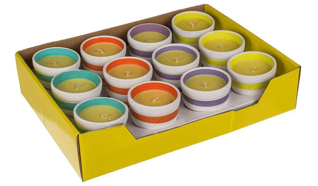 ds23430025_svicka_citronella_v_keramickem_kvetinaci_5