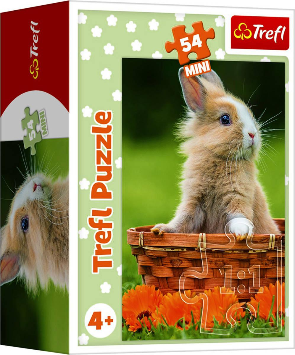 ds28538348_trefl_puzzle_mini_zviratka_mladata_20x13cm_54_dilku_skladacka_4_druhy_1