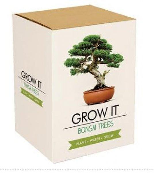 ds31812004_grow_it_bonsai_1