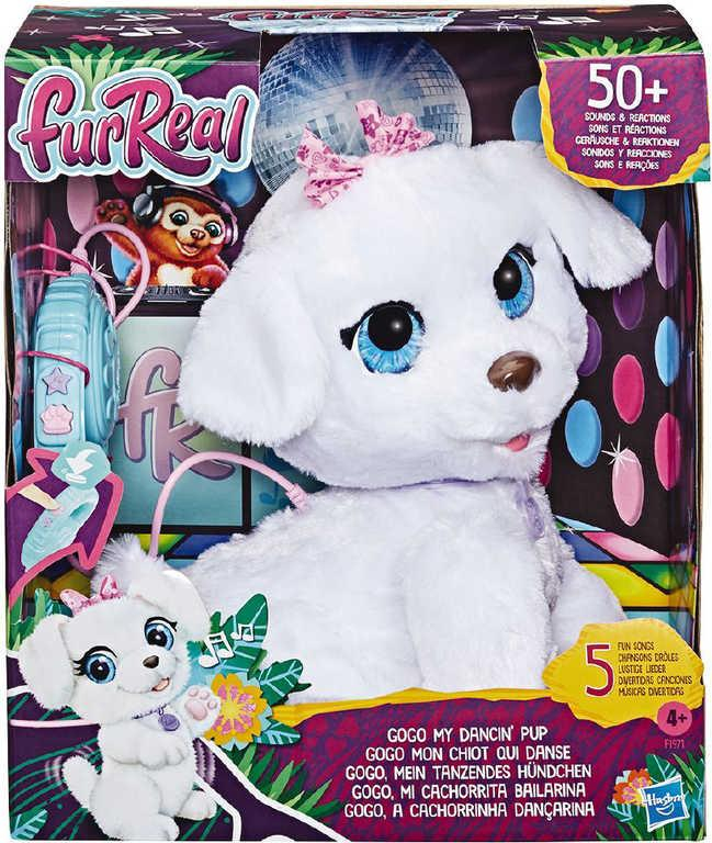 HASBRO FurReal GOGO Tancující štěně chodí na baterie s vodítkem Zvuk PLYŠ