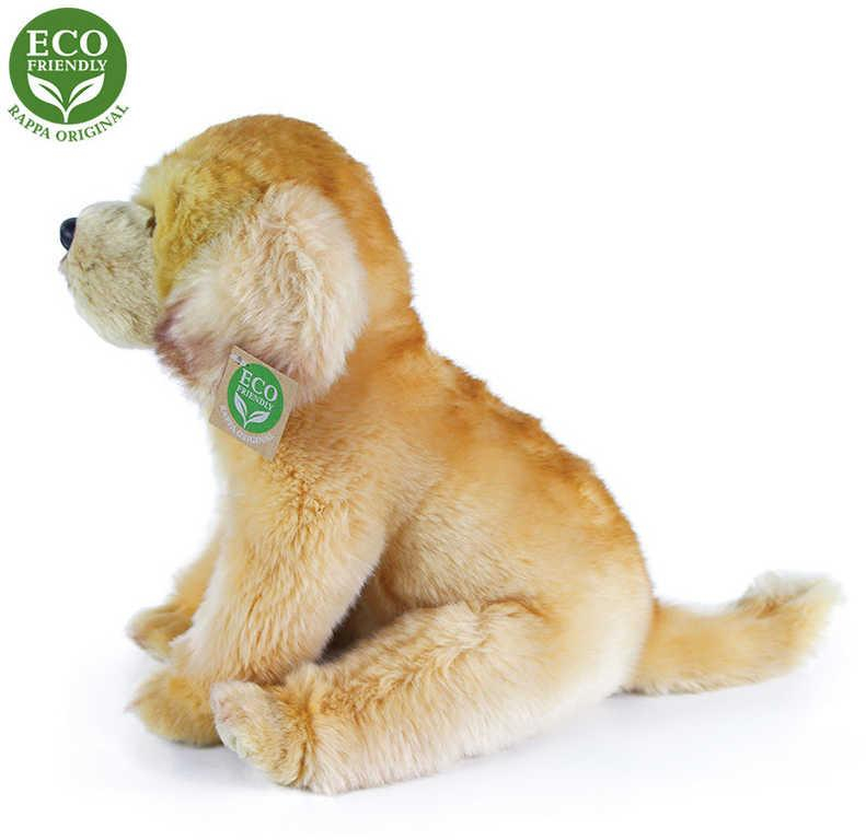 ds42108339_plys_pes_labrador_sedici_27cm_labradorsky_retrivr_eco_friendly_plysove_hracky_2