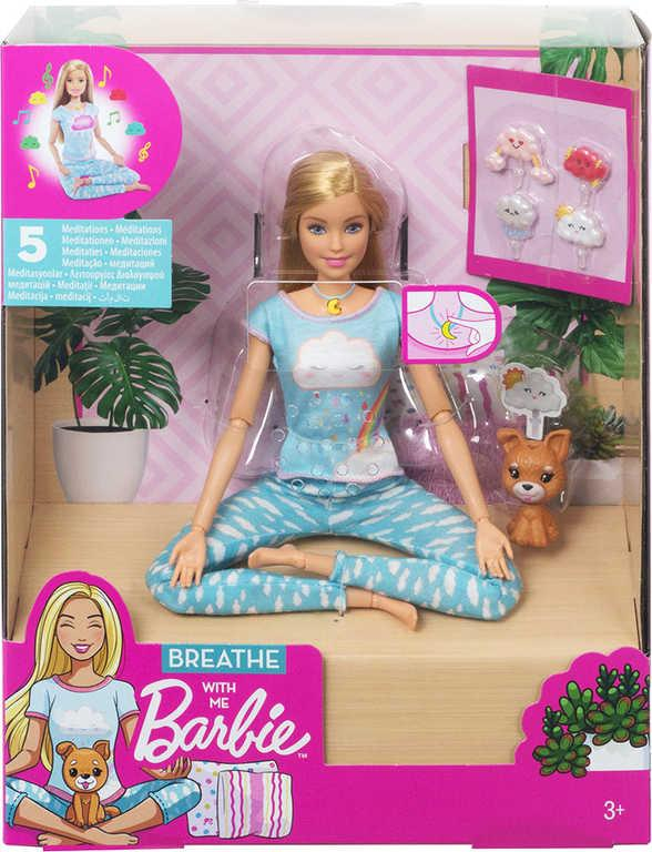 ds46593131_mattel_brb_barbie_wellness_a_meditace_set_panenka_s_pejskem_a_doplnky_1