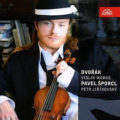nahrávám obrázek