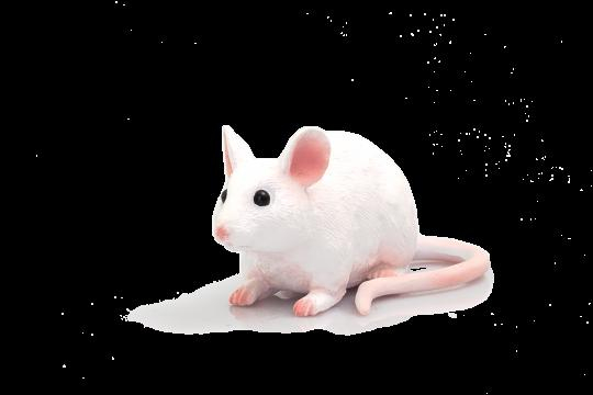 Mojo Animal Planet Myš