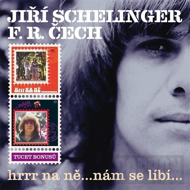 nahrávám obrázek