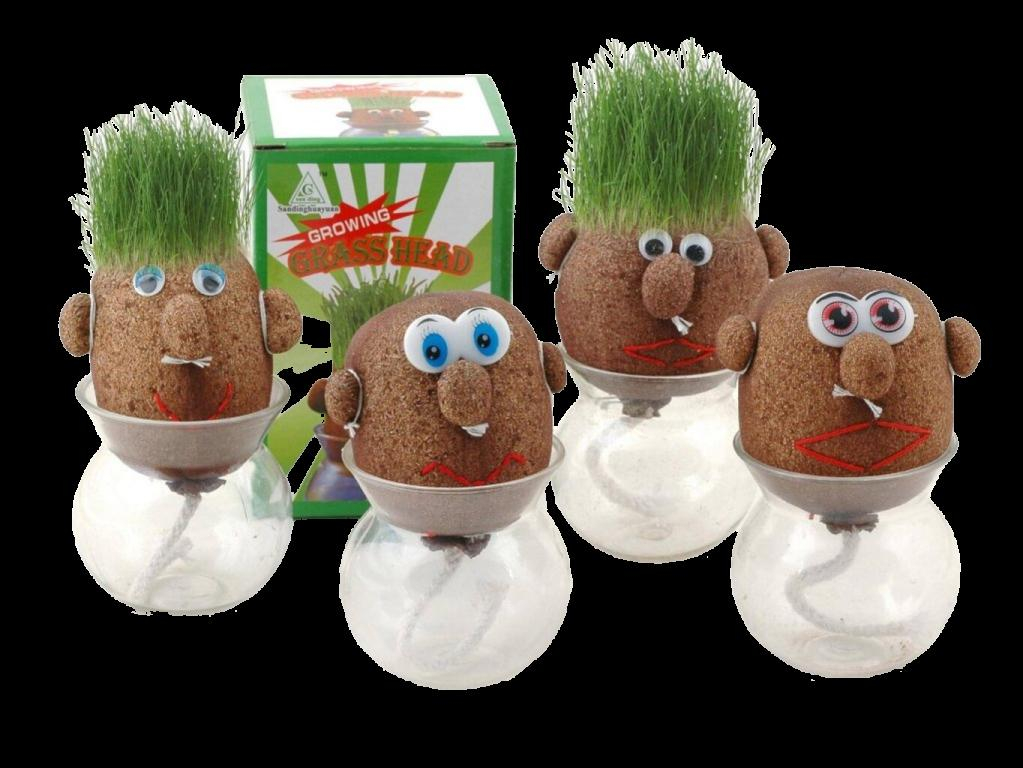 ds68908731_travnak_1