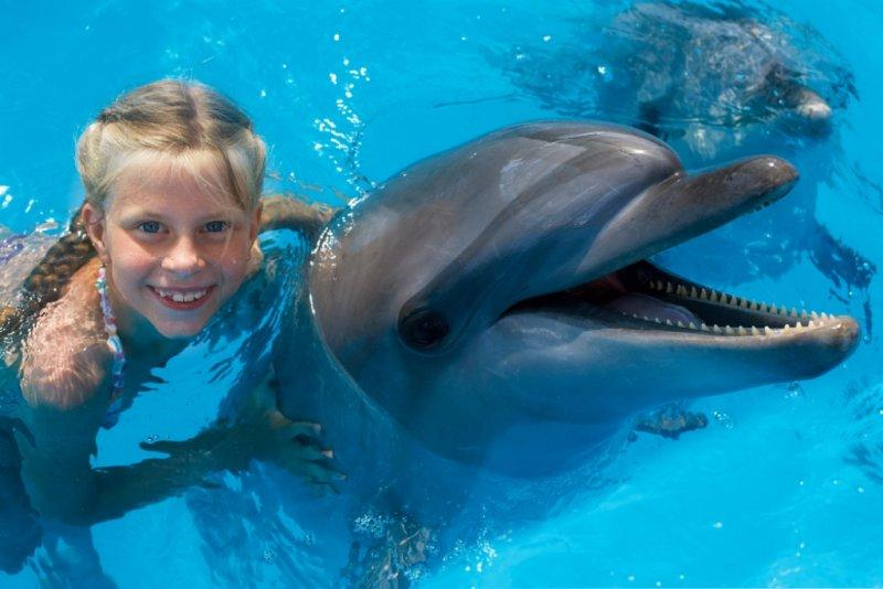 Adoptuj delfína