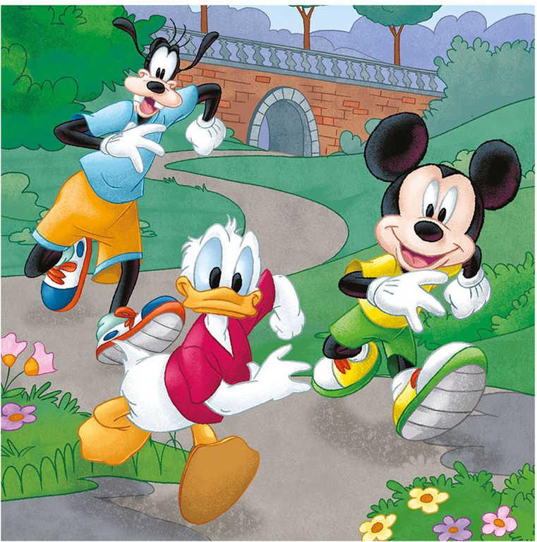 ds71050278_dino_puzzle_3x55_dilku_mickey_a_minnie_sportovci_18x18cm_skladacka_3v1_3