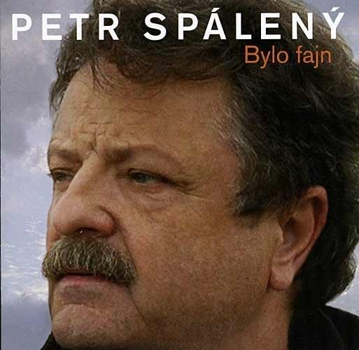 nahrávám obrázek