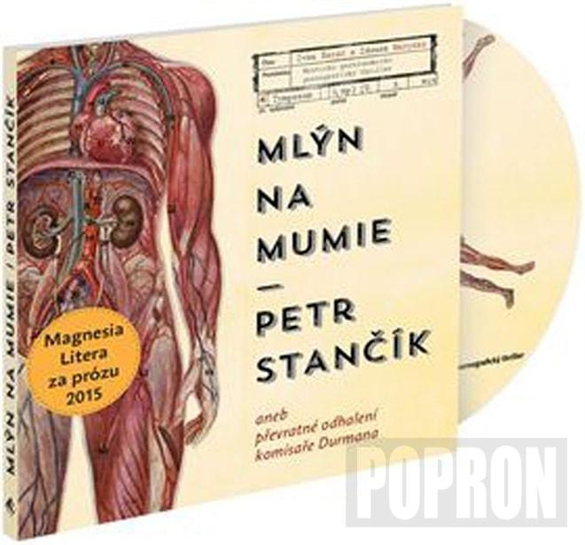 nahrávám obrázek