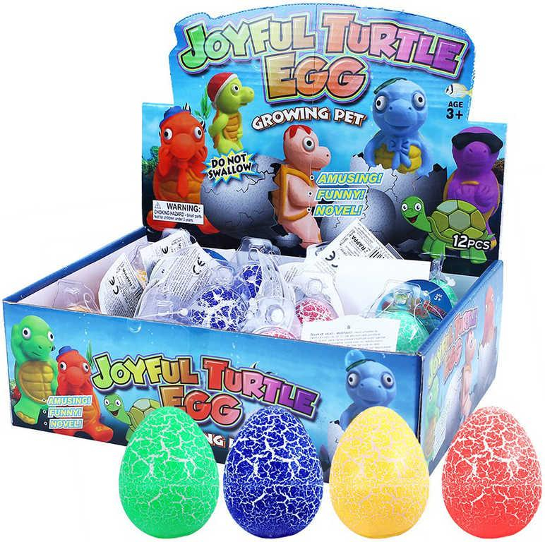 ds75540479_zelva_ve_vejci_zviratko_rostouci_lihnouci_se_ve_vode_4_druhy_3