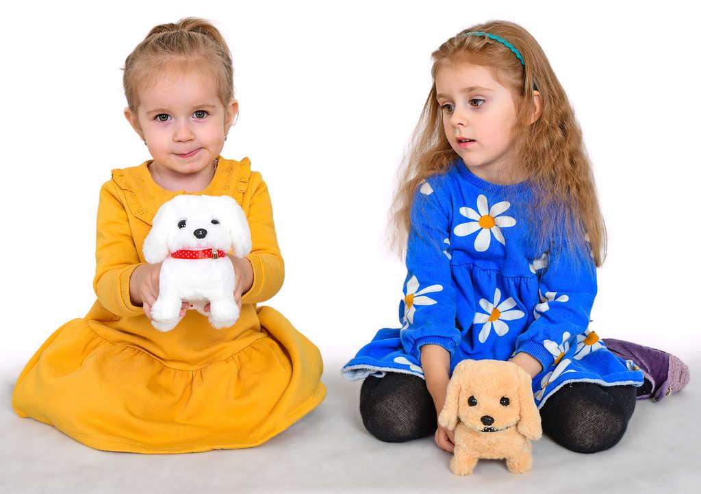 ds84969781_plys_pejsek_16cm_steka_chodi_na_baterie_zvuk_4_druhy_plysove_hracky_1