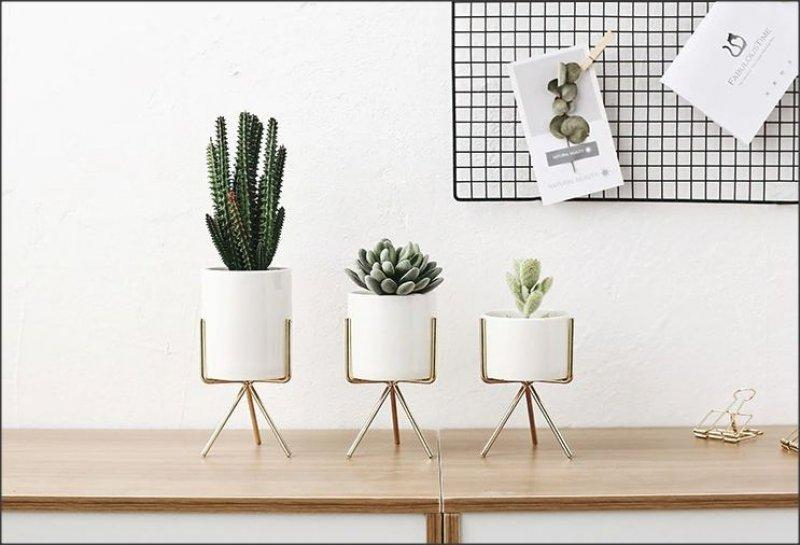 ds90922500_sada_tri_kvetinacu_ve_stojancich_2