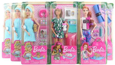 Barbie Wellness panenka GKH73 TV 1.4. - 30.6.2020