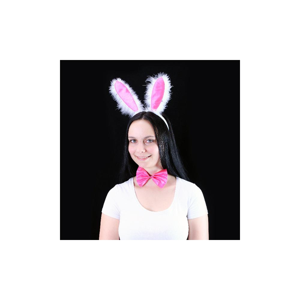 ds95969322_zajeci_usi_motylek_2