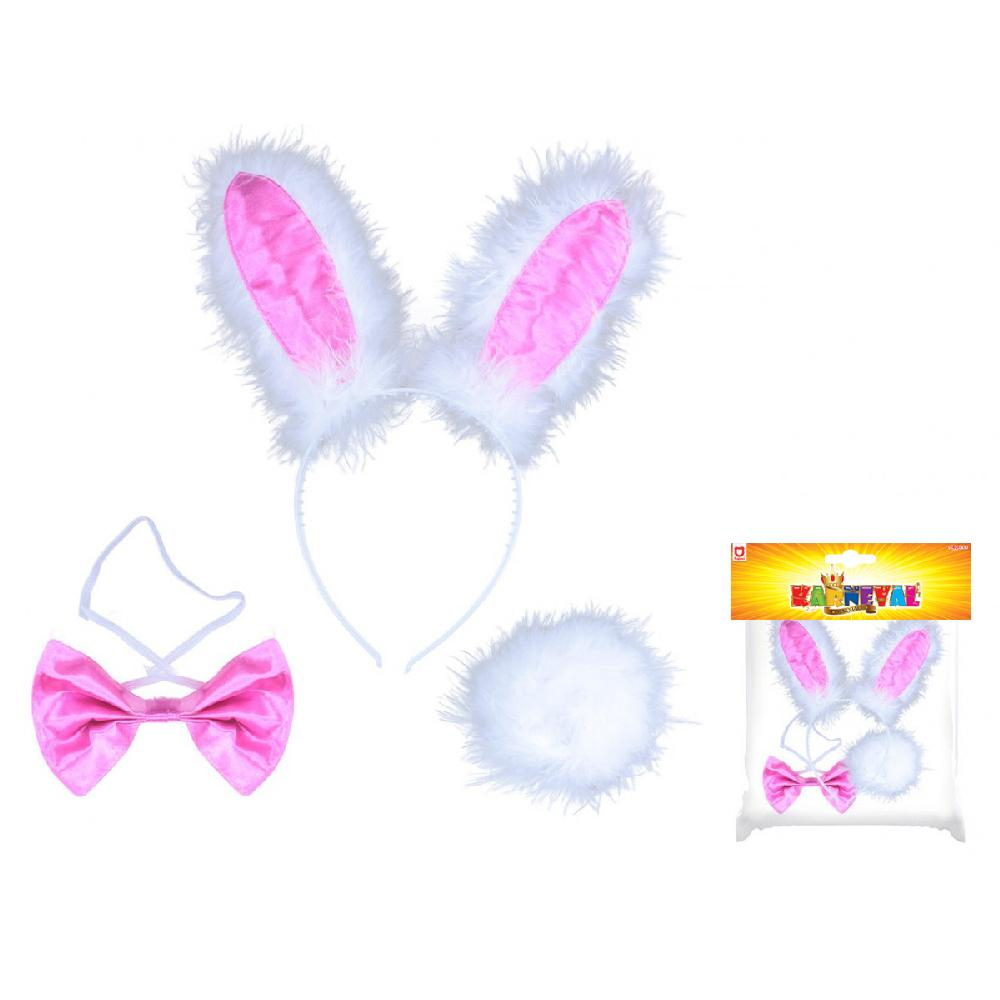 ds95969322_zajeci_usi_motylek_4