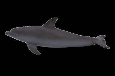 Mojo Animal Planet Delfín skákavý
