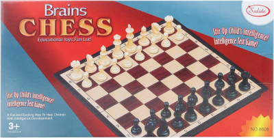 Hra Šachy magnetické plast *SPOLEČENSKÉ HRY*