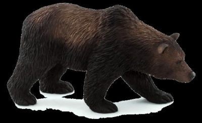ds47312454_mojo_animal_planet_medved_grizzly_0