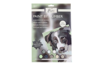 Malování podle čísel pes